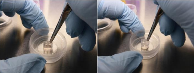 20220525-493666675.png 20220525-493666675.png